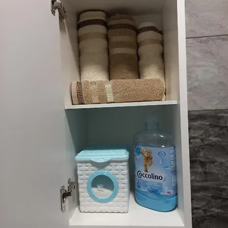 Twins Apartment Cacak